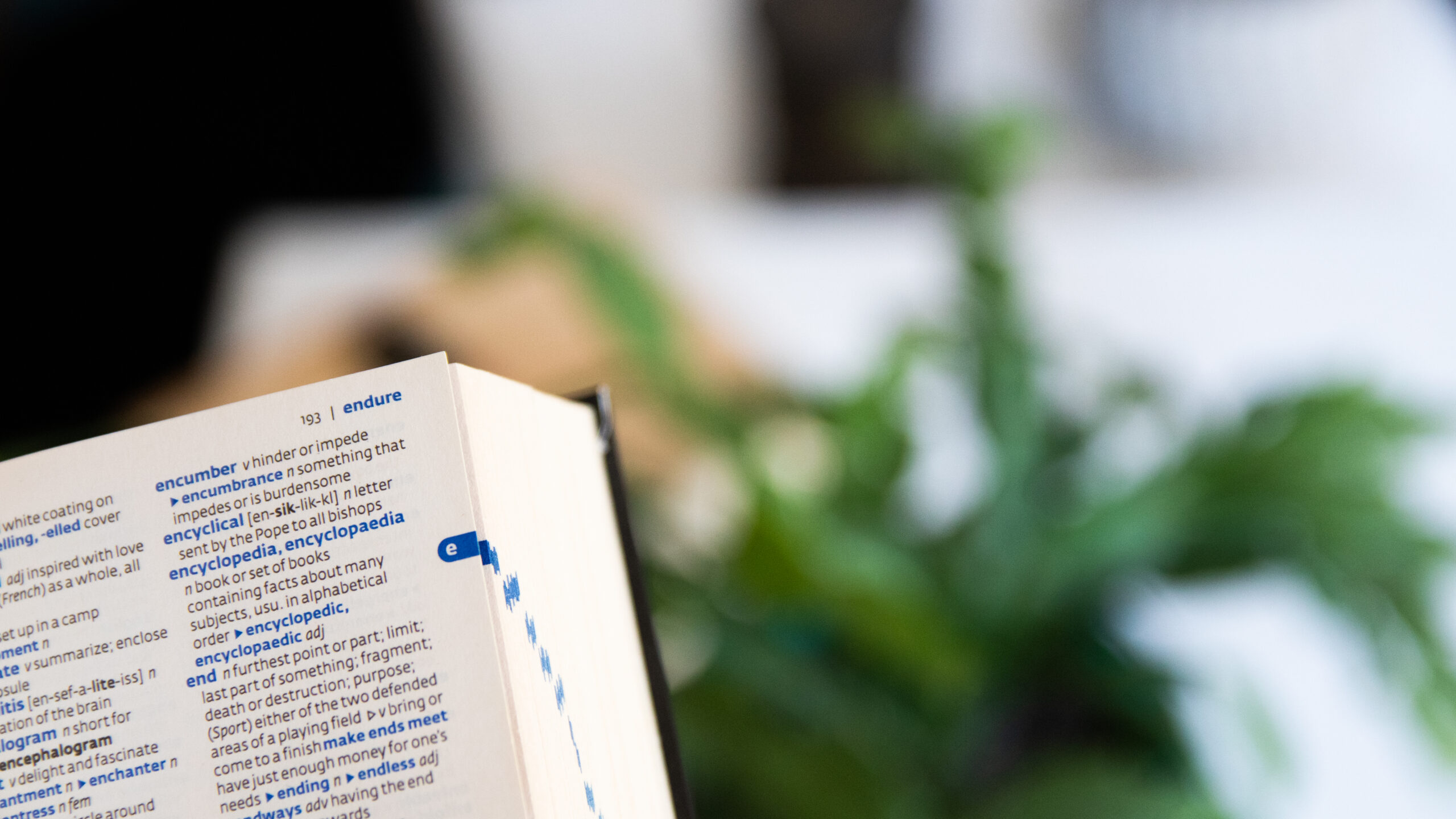 TCF Canada: Deviner le sens d’un mot sans dictionnaire